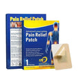 10 Pcs Pain Relief Patch